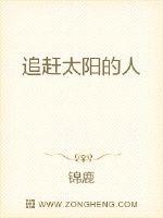 追赶太阳的人